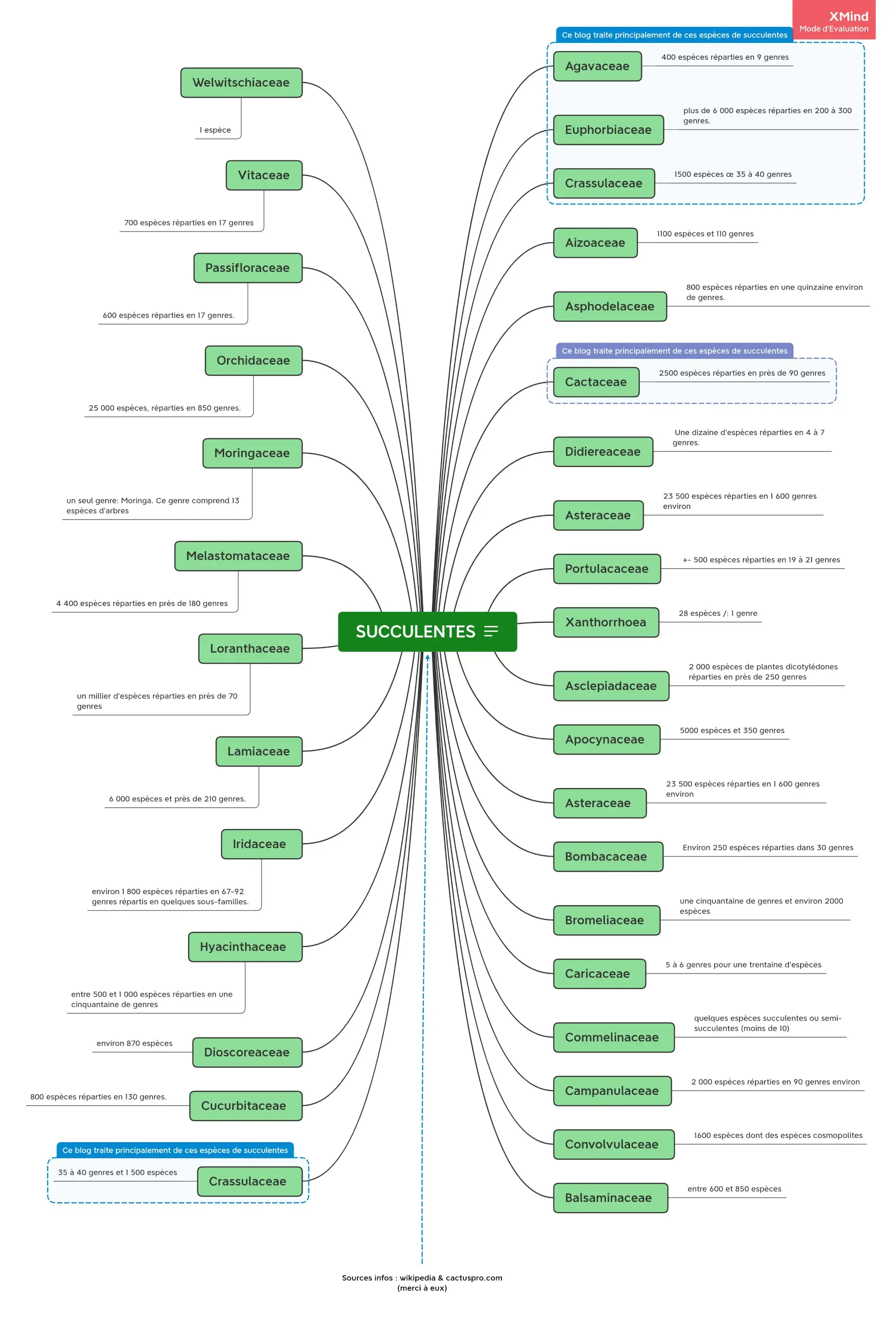 espèces représentatives succulentes