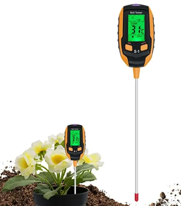 dtecteur ph substrat sol cactus