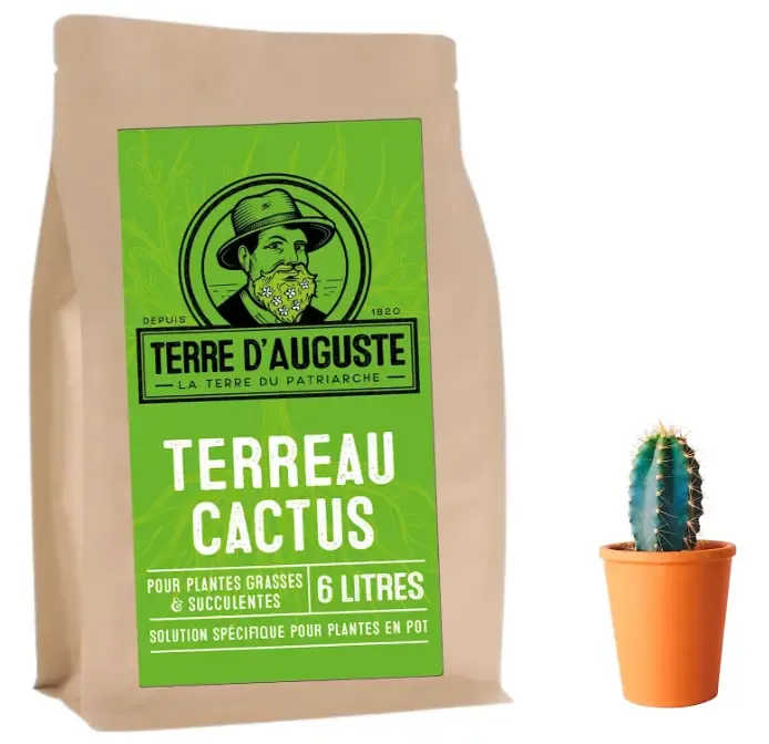 terre pour cactus_auguste