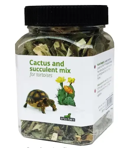tortue succulentes amazon