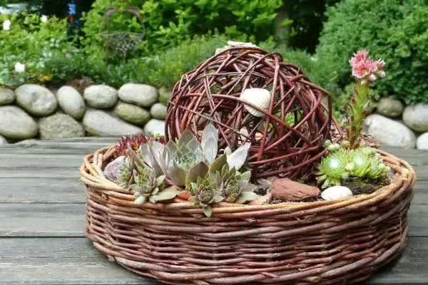 6 idées originales pour utiliser le cactus comme élément de décoration intérieure cactus deco